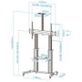 Tooq FS20300M-B Soporte de Suelo con Ruedas Inclinable Ajustable para TV 60-100" hasta 100kg con Bandejas DVD y Webcam